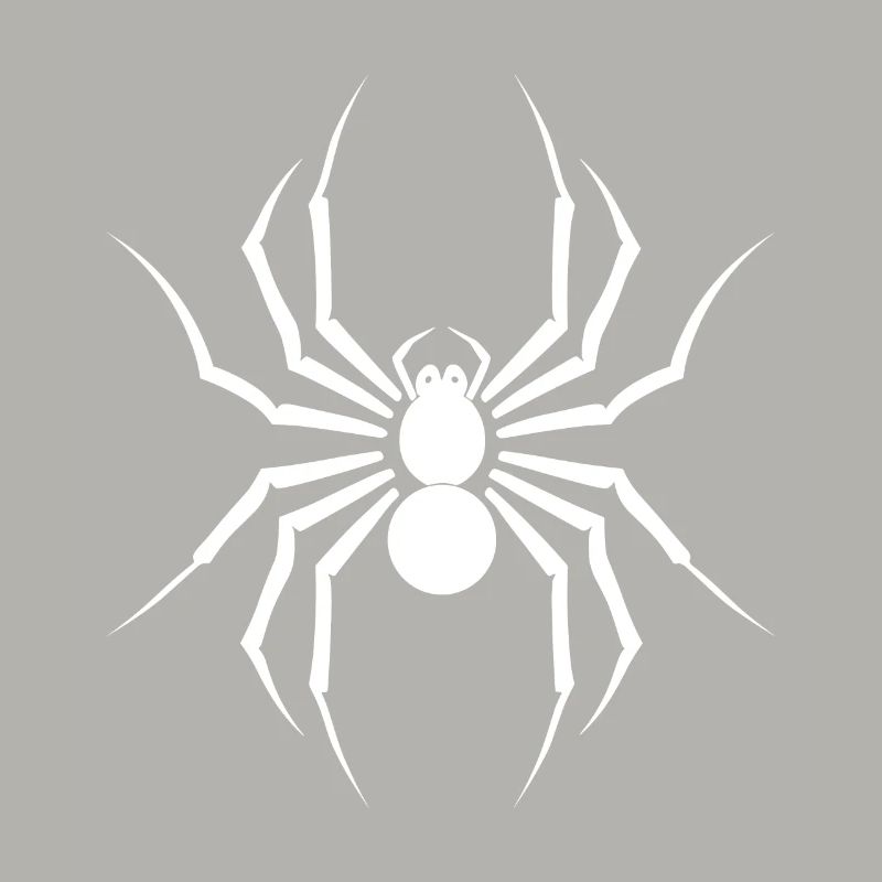 Spinne
