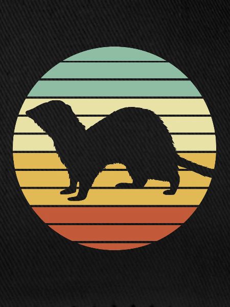 Furet