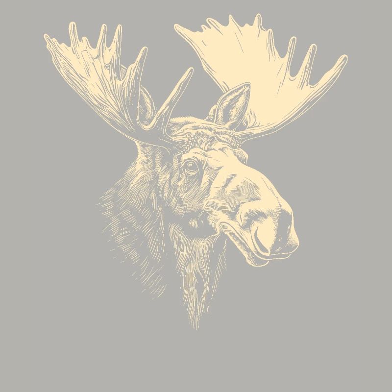 Elch Moose Elchbulle Geweih Hirsch Wilde Elche