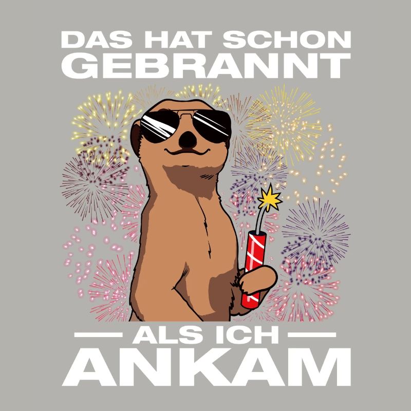 Has already burned, pyrotechnicians, fireworks, fireworks