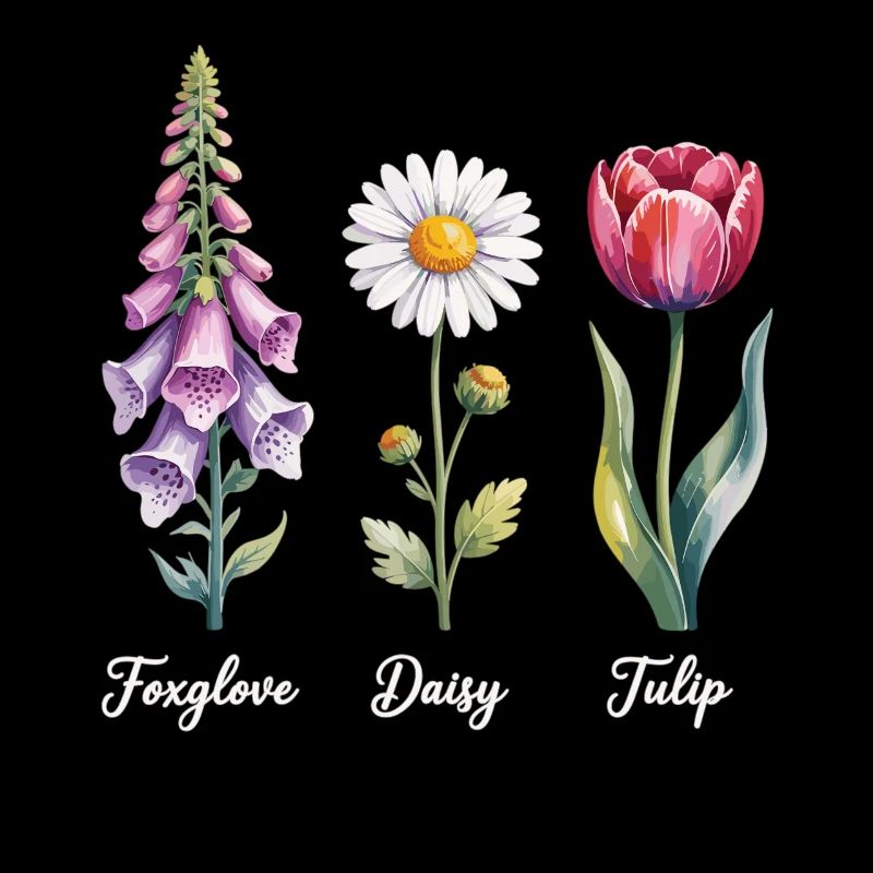 Trois fleurs préférées - digitale, marguerite, tulipe