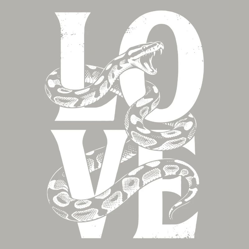 Königspython Schlangen LOVE Terrarium Python