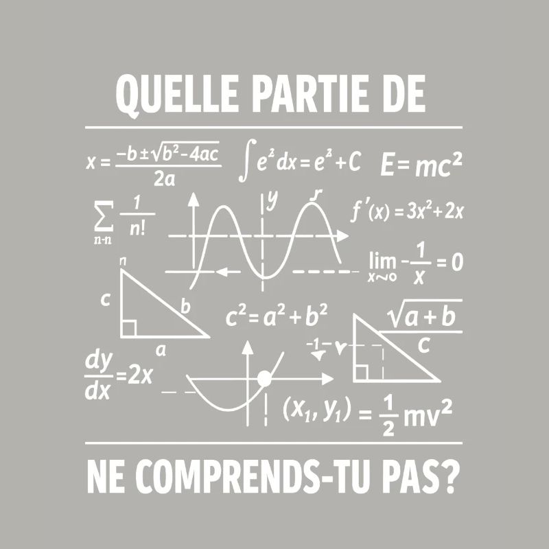 Math Teacher Humor Gift Funny Mathematician