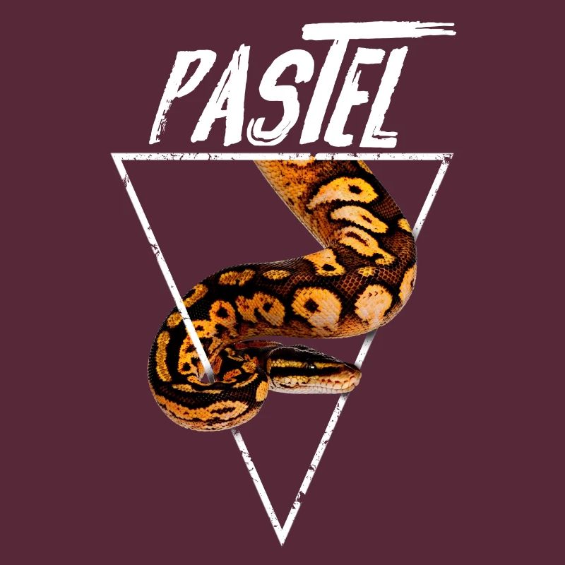 Pastel Ball Python Propriétaire