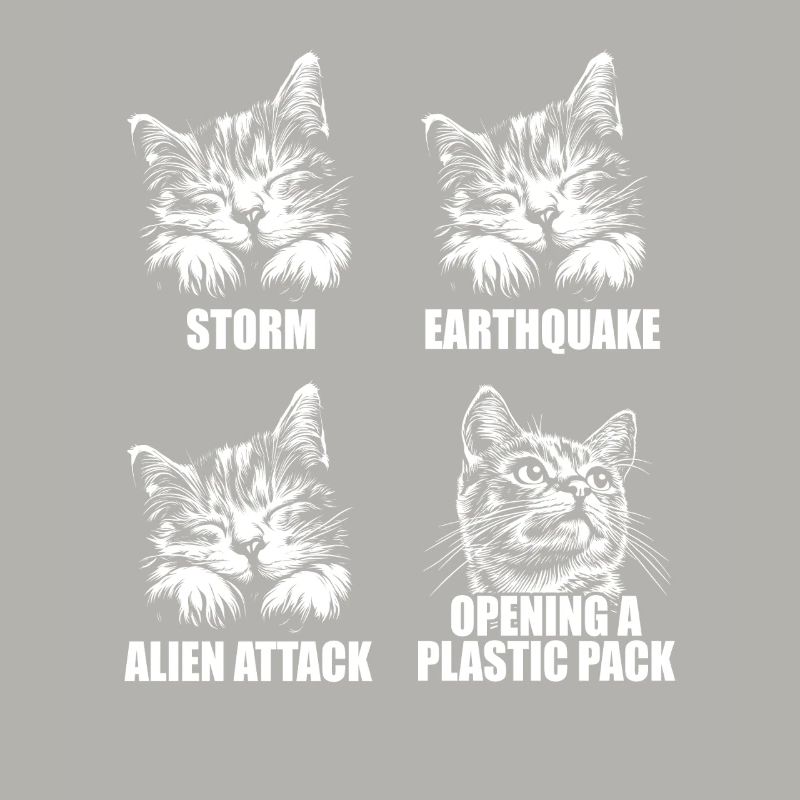 Chat - perception sélective - dire