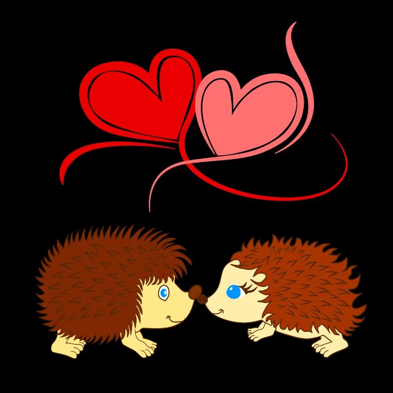 Hérisson - L’amour surmonte les piques - Comicstyle
