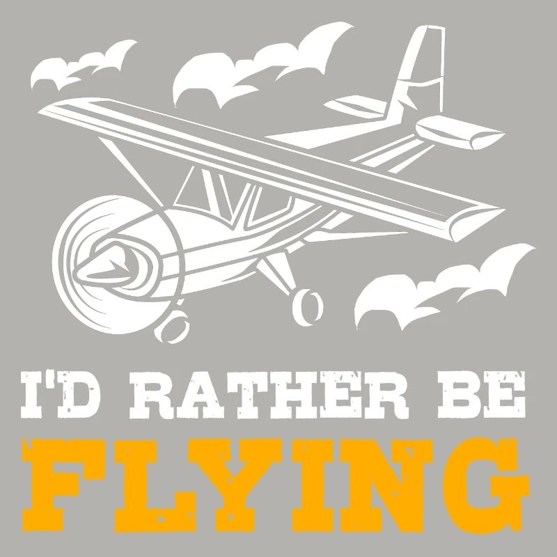 Pilot Flugzeug