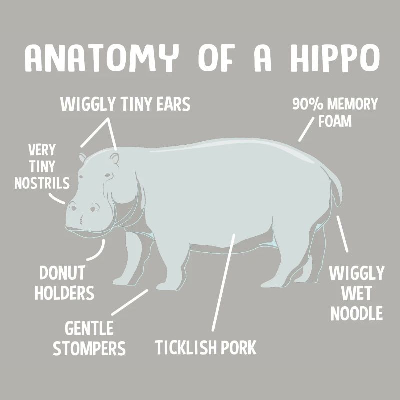 Hippopotame