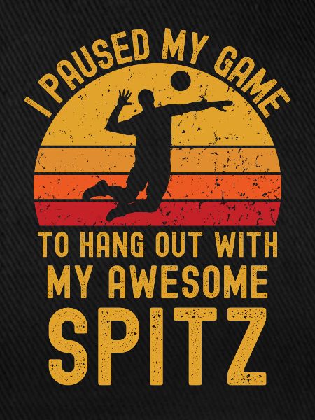 Volleyball und Spitz