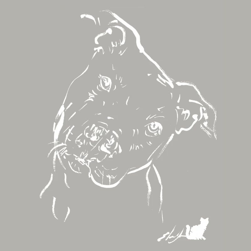 pit-bull blanc