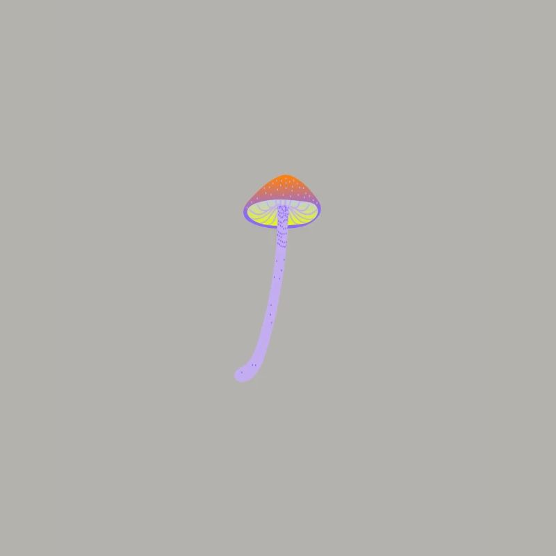 Magic mushroom