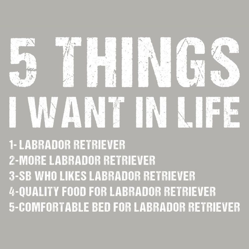 5 Things I Want In Life Labrador Retriever
