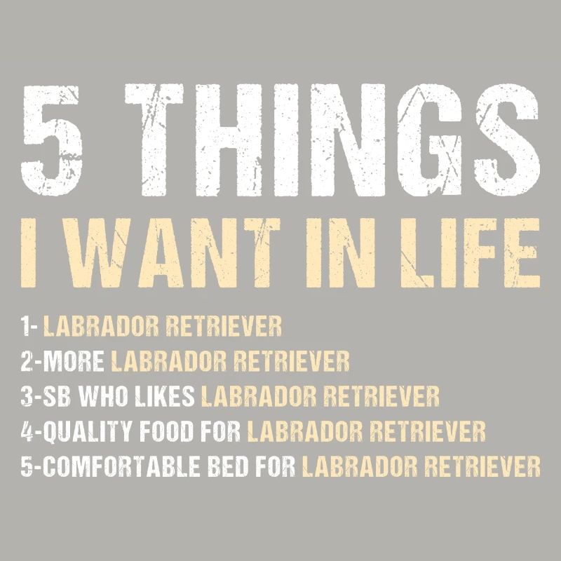 5 Things I Want In Life Labrador Retriever