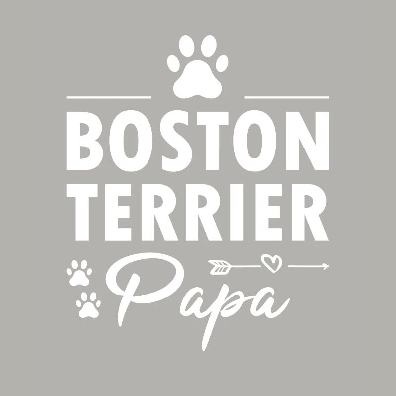 Boston Terrier Papa