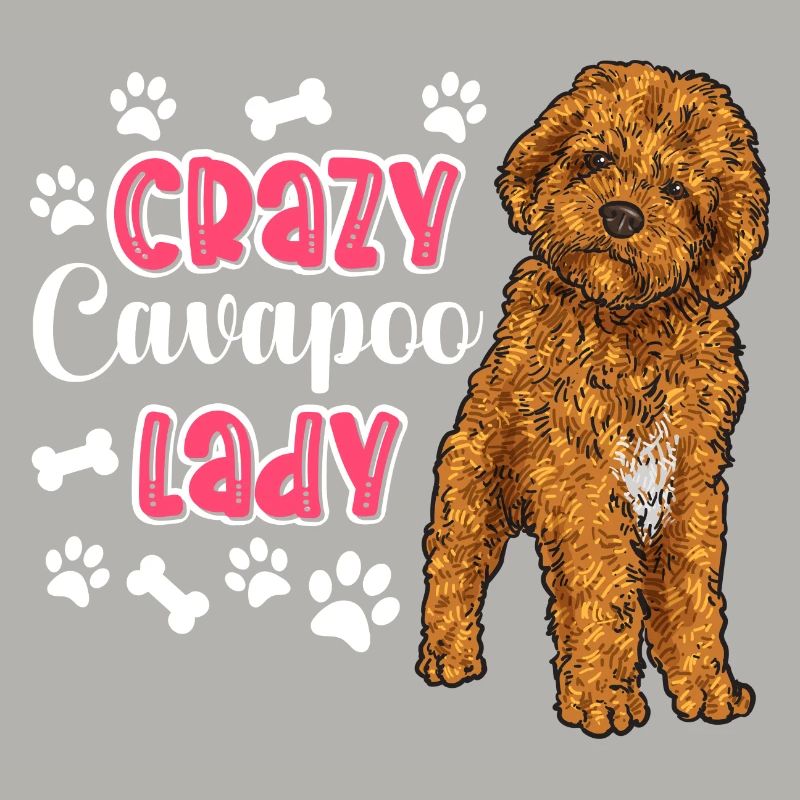 Cavapoo Cavoodle Capoodle Hund