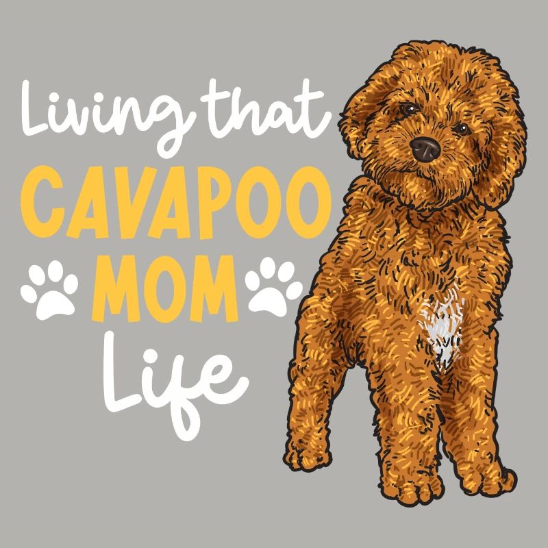 Cavapoo Cavoodle Capoodle Dog