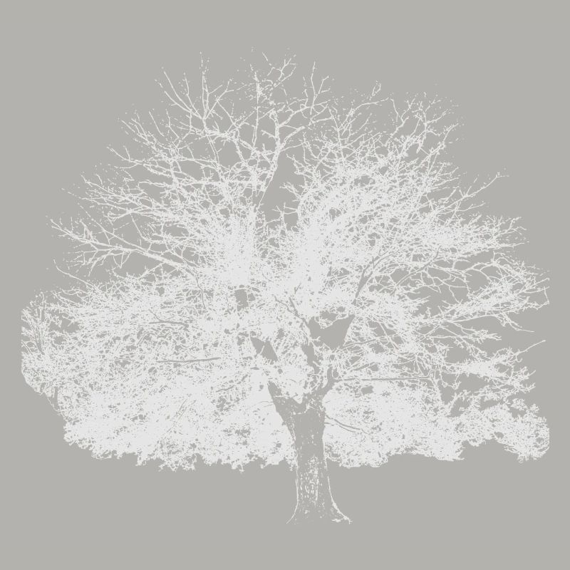Arbre d’hiver blanc