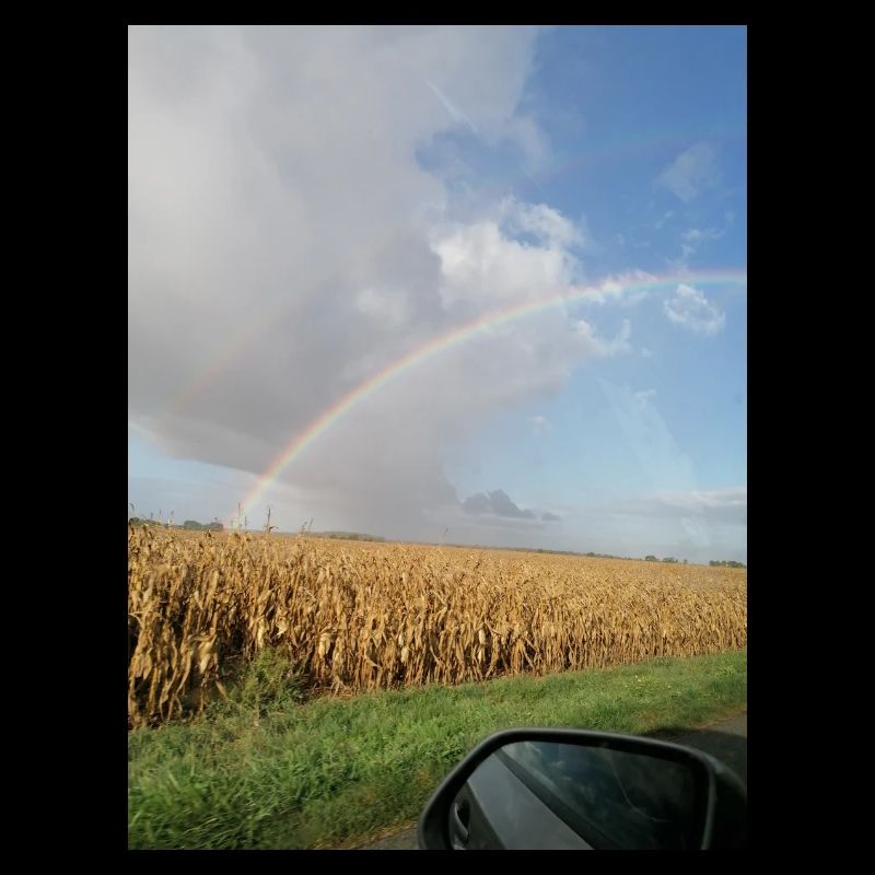 Rainbow on the road and wheat fields