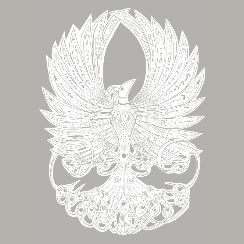 Phoenix Graphique