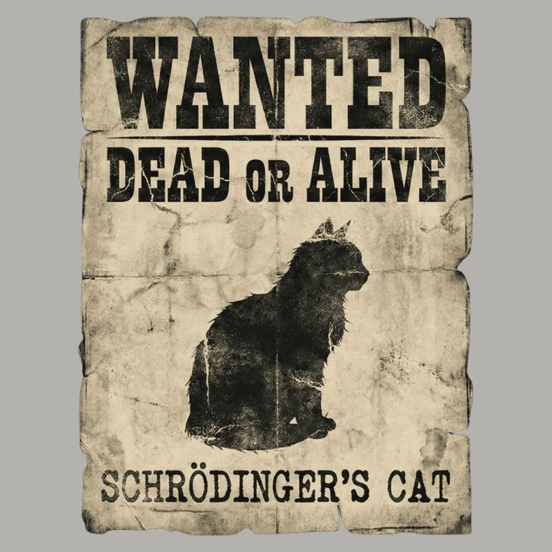 Schrödinger's Cat Wanted Dead Or Alive Physics Pun