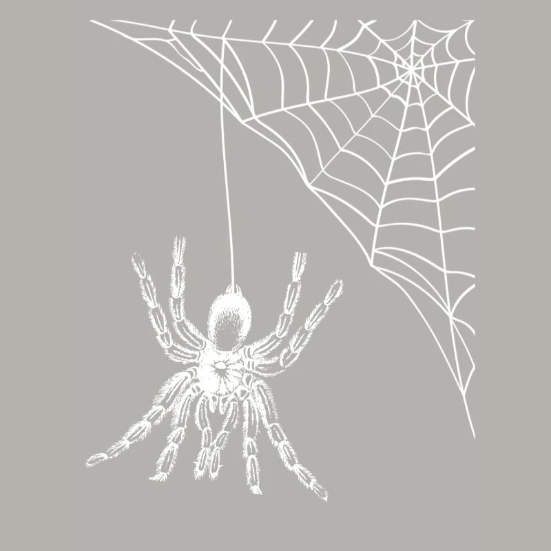 araignée