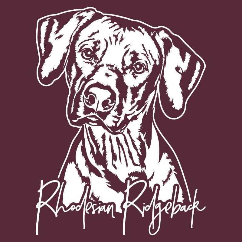 RHODESIAN RIDGEBACK Hunde Portrait Wilsigns