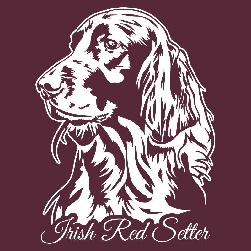 Irish Red Setter Jagdhund Jagdhunde Hunde Wilsigns