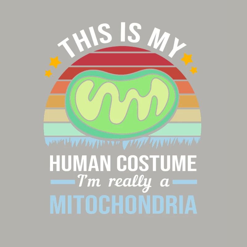 Molekül Strukturformel