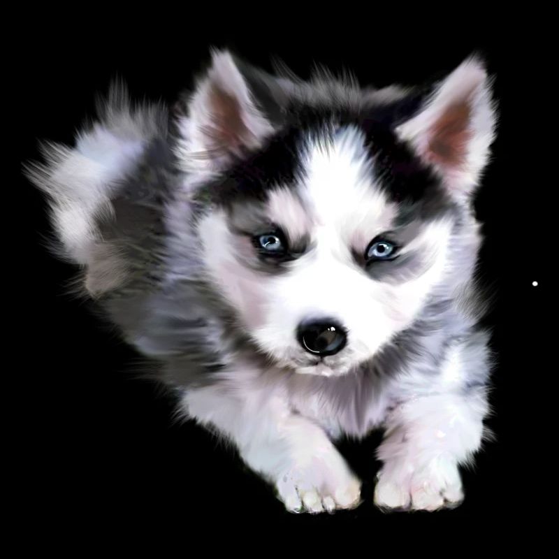 Hund, Husky