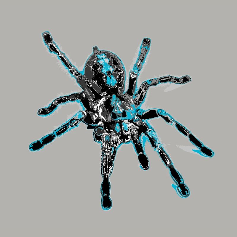 Tiger spider blue, spider