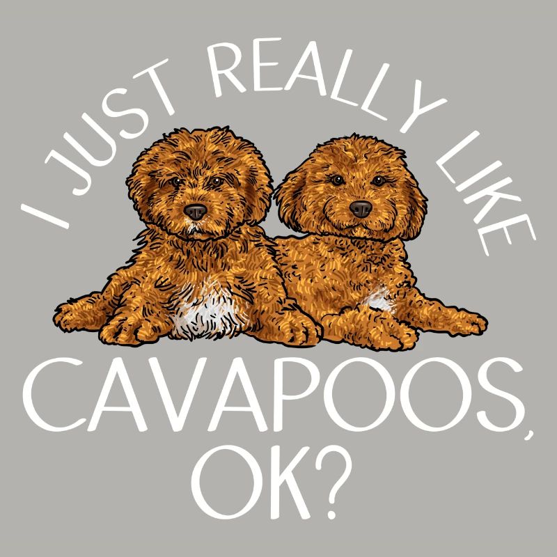 Cavapoo Cavoodle Capoodle Dog