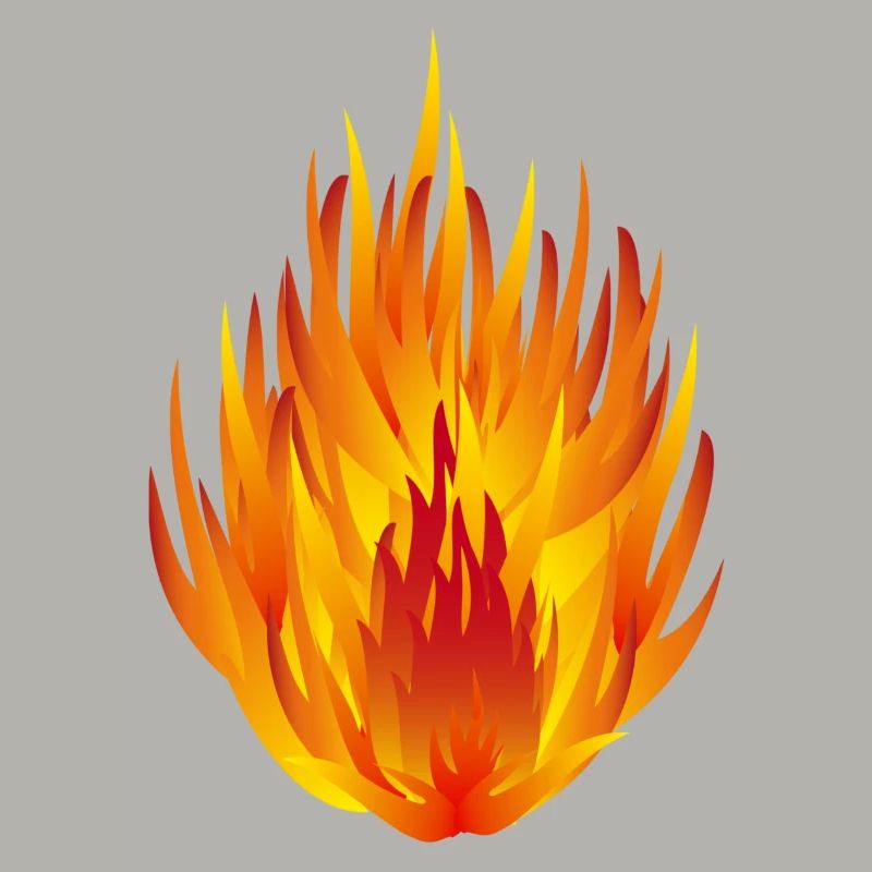 konzentrat