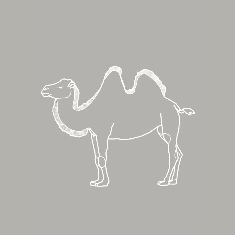 camel