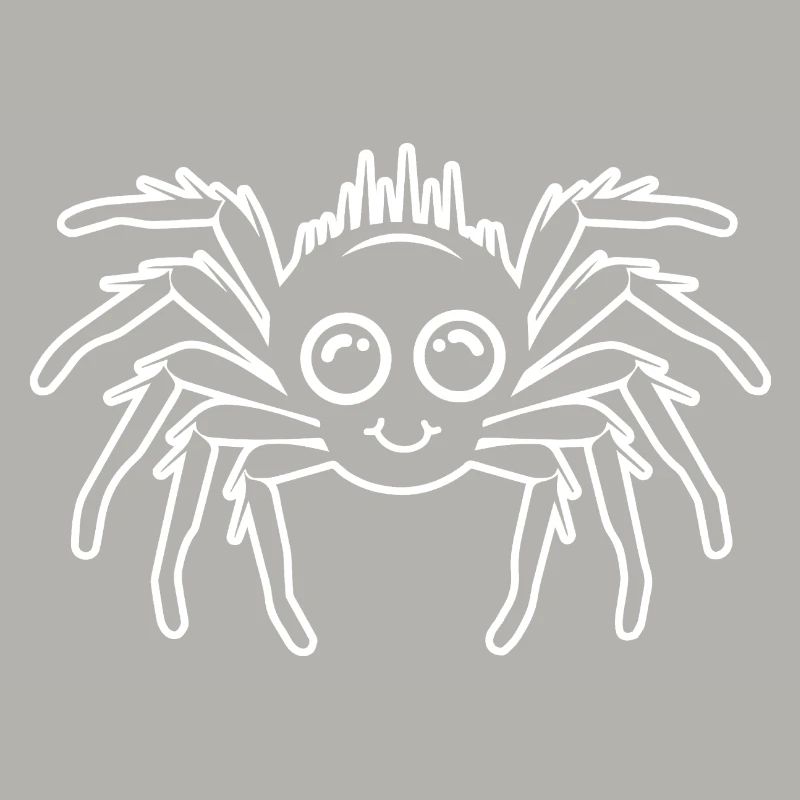 Spider spiders animals