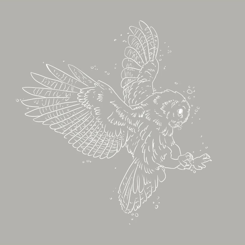 hibou