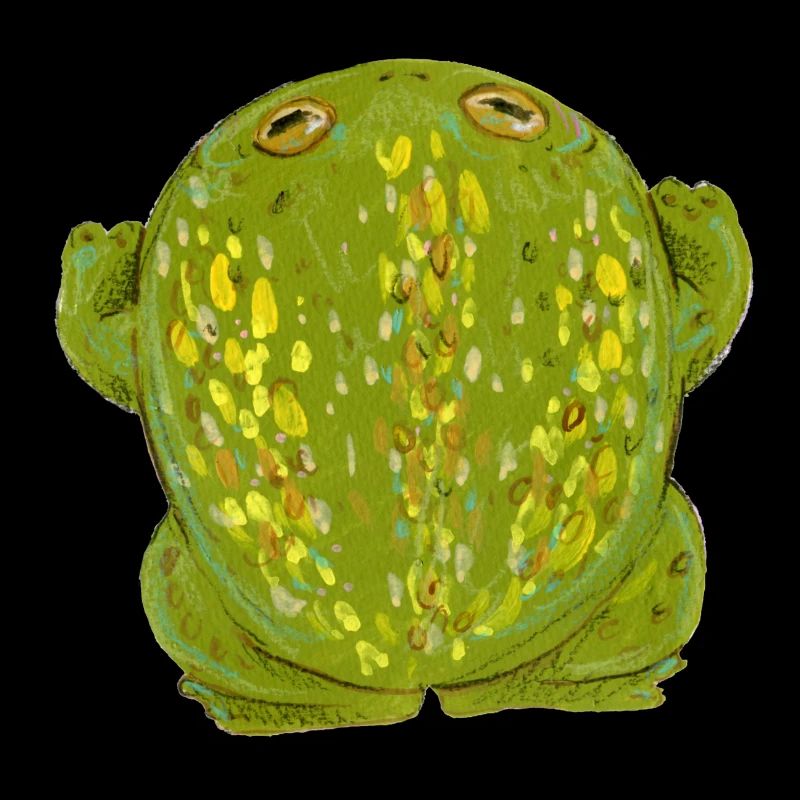 Frog Toad grass green