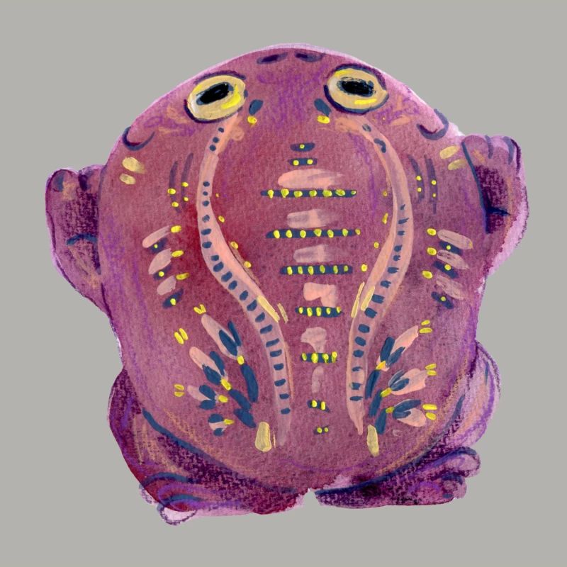 Purple Toad
