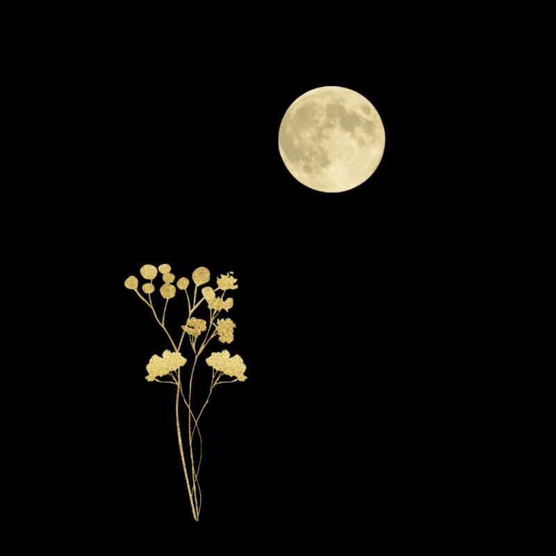 Full Moon