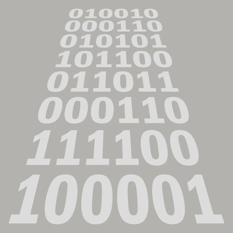Binary Code Program Language