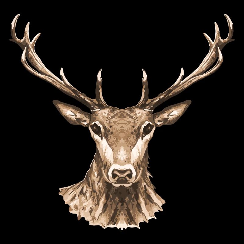 Cerf
