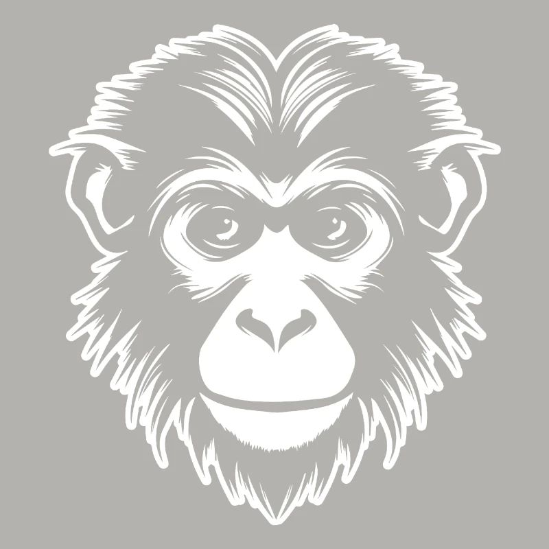 Singe Singe Visage de Singe Jungle