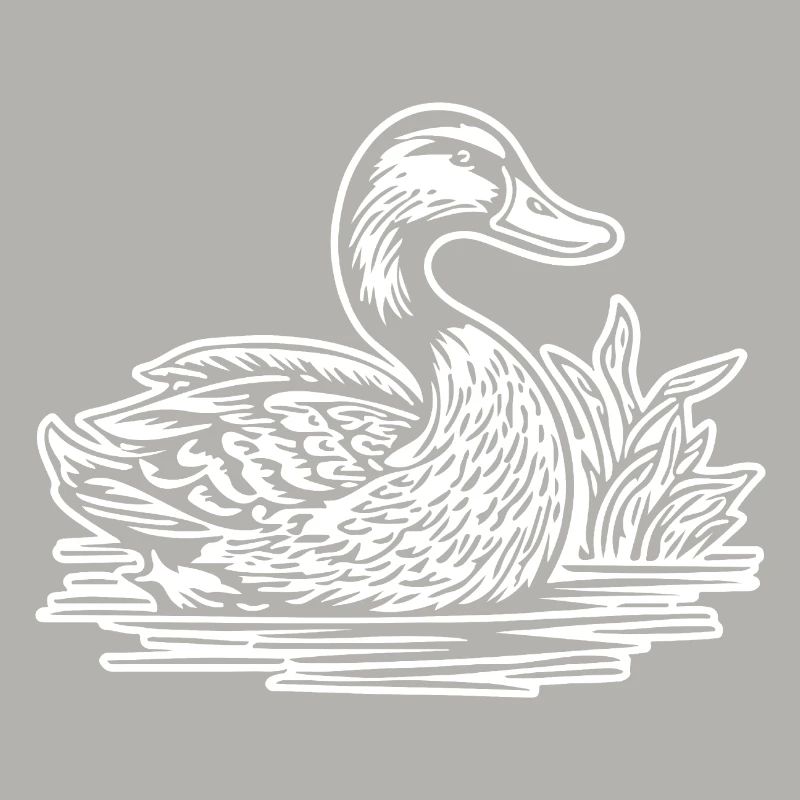 Duck Birds Ducks