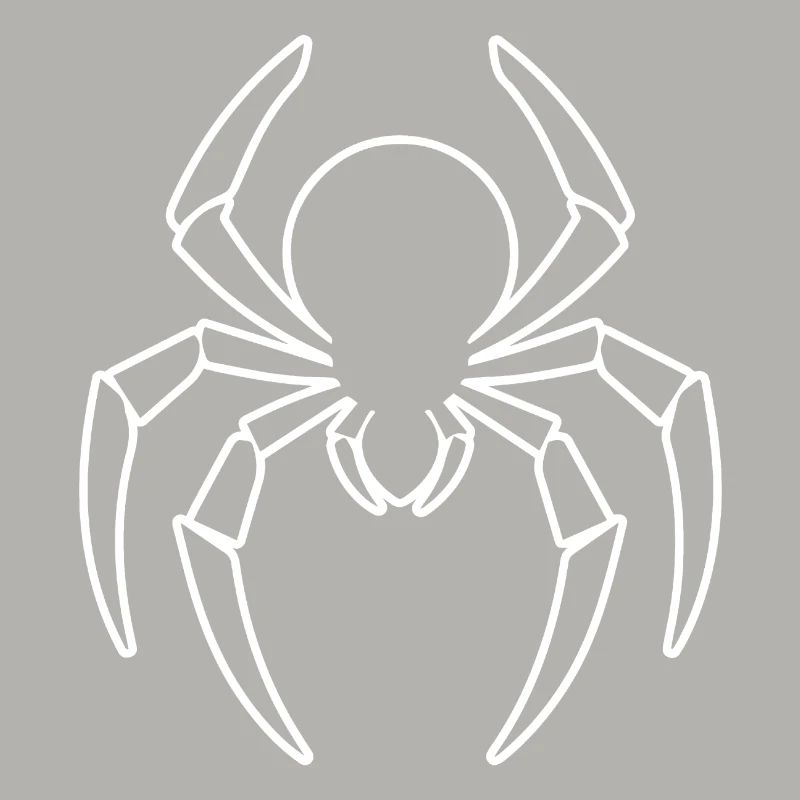 Spinne Spinnen Tiere