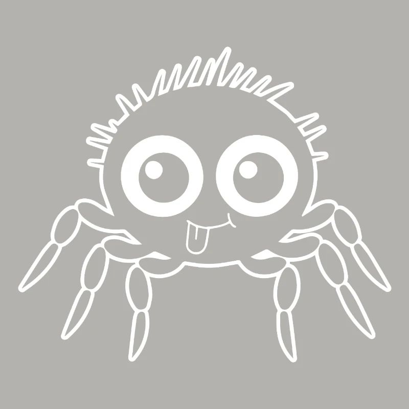 Spider spiders animals