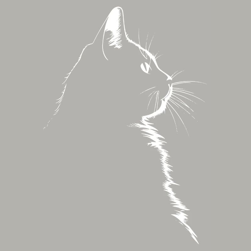 Chat, Motif De Chat