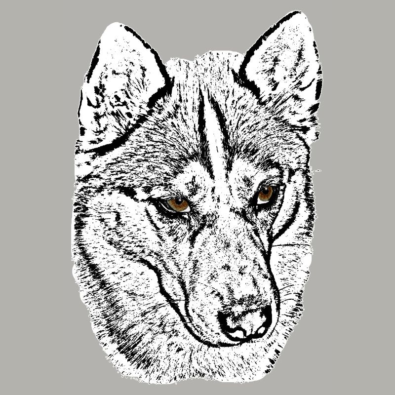 Wolf Head Husky Line Drawing Brown Eyes