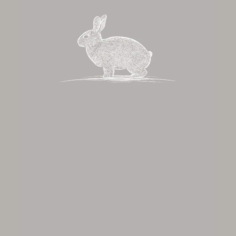 Lapin lapin