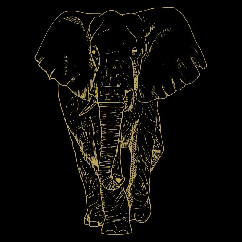 Illustrated designs with elephant