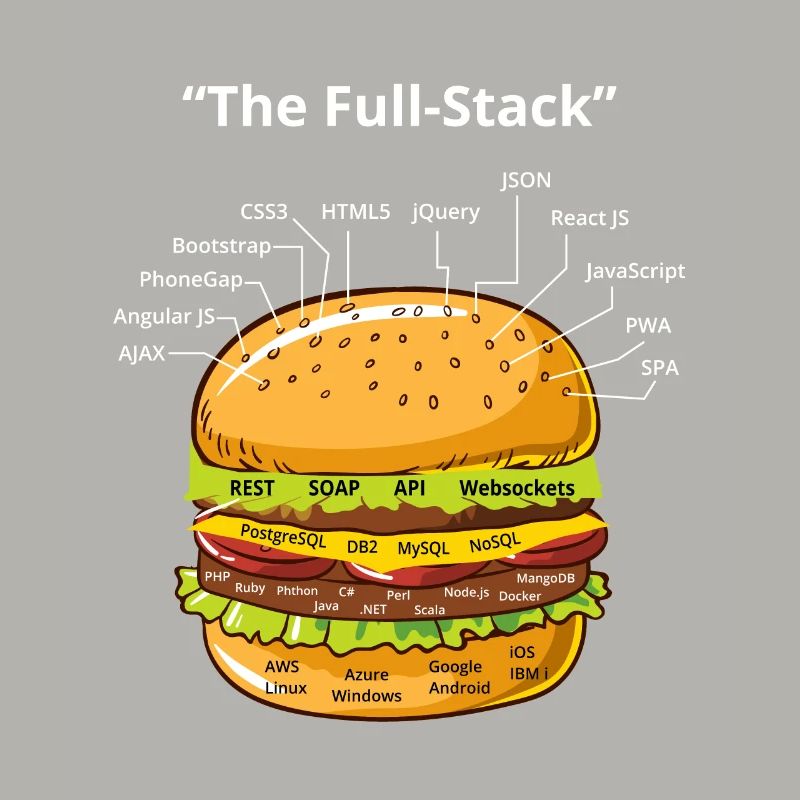 Computer Programmierer Programmierer Software Burger Liebhaber