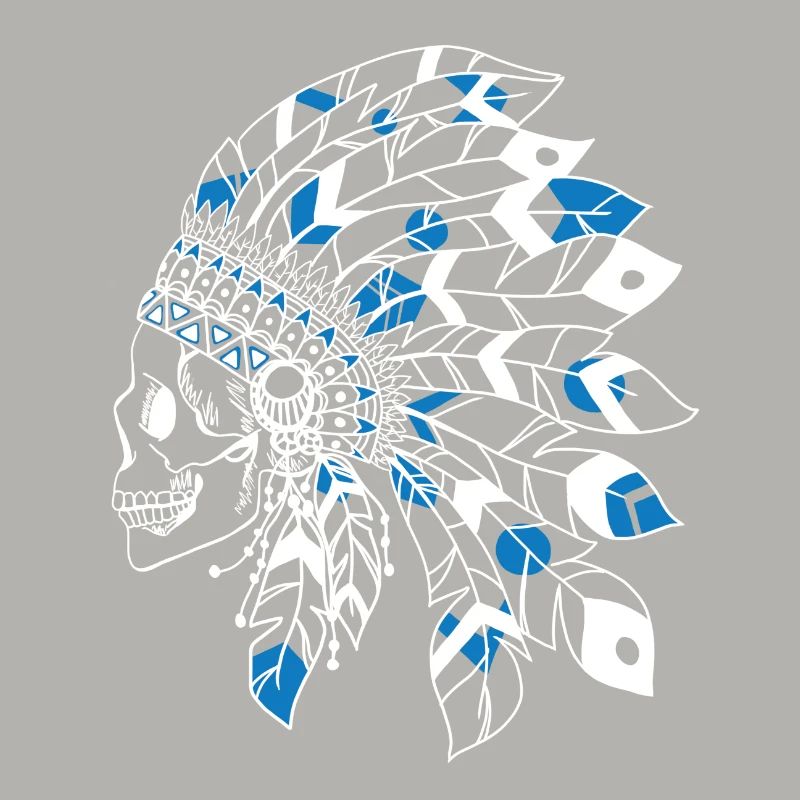 crâne avec coiffe indienne blanc et bleu